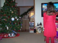 100_5914.jpg